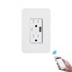 WIFI Smart Wall Socket 120 Type with USB, American Model, Voice Control - 1