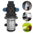 DC12V 100W Double Thread Reverse Pump for Car Wash/Irrigation - 1