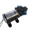 DC12V 100W Double Thread Reverse Pump for Car Wash/Irrigation - 3