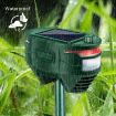 Outdoor Solar Ultrasonic Infrared Sensor Animal Repeller (Dark Green) - 5