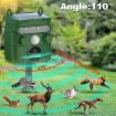 Solar Ultrasonic Outdoor Animal and Bird Repeller, Mouse Deterrent - 4