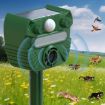Solar-Powered Ultrasonic Animal Repellent with Infrared Sensor - 2