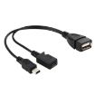 Mini USB AM + Micro 5 Pin AF to USB 2.0 Female Cable, 20cm - 1