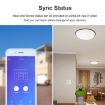 Sonoff T2 Smart Home Light Switch, Alexa & Google Compatible, EU Plug - 4