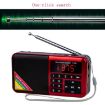 Gold Bluetooth Card Radio Digital FM Player Y-509FM (No Solar Panel) - 4