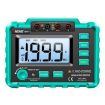 ANENG MH11 High Voltage Digital Insulation Tester (Green) - 1