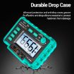 ANENG MH11 High Voltage Digital Insulation Tester (Green) - 5