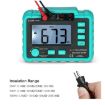 VC60B+ Digital Multimeter Insulation Resistance Tester Instrument - 5