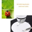 DMS-MDS800 40X-800X USB Digital Microscope with 2.0MP Sensor & Stand - 8