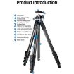 BEXIN TA255-BS30 Black Aluminum Collapsible Camera Tripod with Head - 3