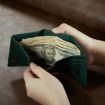 DG.MING M6 Series 3-Fold Multi Card Wallet - Green - 6
