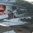 Forged Gold Foil Carbon Fiber Stickers for Corvette C8 (Blue, 4pcs) - 3