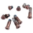 Gold Bottom Cover Screws Set for MacBook Air 13" A2179 2020 - 1