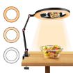 Apexel FL20 10" LED Ring Light with Stand & Phone Holder - 6