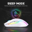 ONIKUMA CW905 Wireless Mouse 2.4G RGB Lighting Grey White - 5