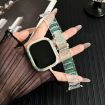 Apple Watch 44mm/45mm Chameleon PC Case Resin Band (Green) - 2