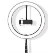 Collapsible Studio LED Ring Light Mobile Phone Bracket (Black) - 3