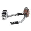 Random Color Glowing Skull Pipe Delivery - 5