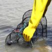 Round Folding Spring Crab Cage Fishing Net (Small) - 6