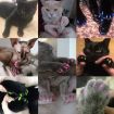 Silicone Cat Nail Caps - 20 PCS, Size L, White Paw Protectors - 4