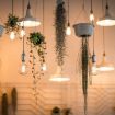 E27 40W Vintage Edison Bulb, 220V Incandescent Filament (G80) - 5