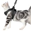 Grey Cat Leash Pet Chest Harness, Size L - 1