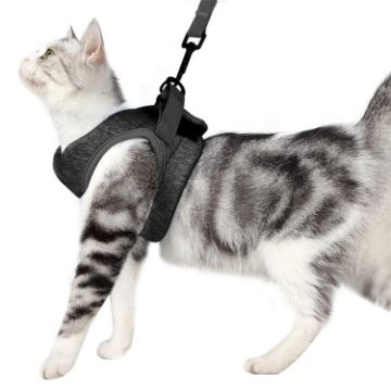 Grey Cat Leash Pet Chest Harness, Size L - 1