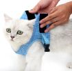 Grey Cat Leash Pet Chest Harness, Size L - 4