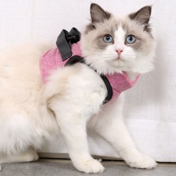 Pink Cat Leash Pet Chest Harness, Size L - 1