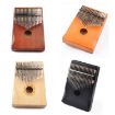 17-Tone Black Kalimba Kit, Beginner's Finger Piano Introduction - 2