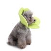 Green Flower Dog Protection Collar, Size L - Pet Protection Collar - 3