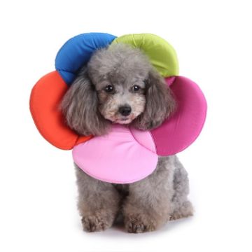 L Size Rainbow Dog Flower Pet Protection Collar - 1