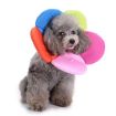 L Size Rainbow Dog Flower Pet Protection Collar - 4