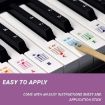 QT-005 5PCS Kids Piano Keyboard Color Stickers Instrument Accessories - 4