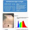 LED Quantum Board Greenhouse Light, EU Plug (Sunlight) - 3
