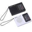 BAIJIALI BJL228 Retro FM AM Radio with Built-in Speaker (White) - 2