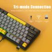 Ajazz K870T Pro 87 Key RGB Wireless/Bluetooth/Wired Keyboard - 3
