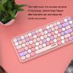 Ajazz 308I Milk Tea Color Bluetooth Keyboard - Home & Office Use - 6