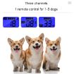 800m Remote Control Dog Trainer: Smart Anti-Disturbance Collar 3-Pack - 4