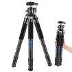 BEXIN RC254+LH-28 Carbon Fiber Folding Tripod SLR Camera Bracket - 7