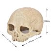 Aquarium Fish Tank Skull Ornament Spider Lizard Snake Hiding Decor - 2