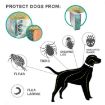 Flea & Tick Collar for Dogs Cats, Gray, 72cm, Aluminum Case - 5