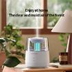 Raindrop Candlelight Aromatherapy Diffuser Humidifier, Colorful, Black - 4