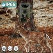 PR803W 8K Video 60MP Photo WiFi Ultra-clear Hunting Camera - 5