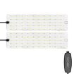 Two Head 12V LED Plant Growth Light, Sunlight-Like, UK Plug - 1