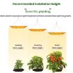 Sunlight Quantum Board LED Greenhouse Lamp, AU Plug - 5