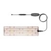 LED Parallel Quantum Board Plant Lamp, Single Head, AU Plug - 1