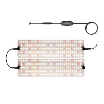 Two-Head Cold Light LED Quantum Board Plant Growth Lamp (US Plug) - 1