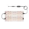 Quantum Board LED Indoor Plant Lamp, Model: Two Heads (AU Plug) - 1