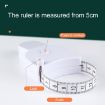Automatic Precision Waist Measurement Ruler - Random Color, Accurate Sizing - 6